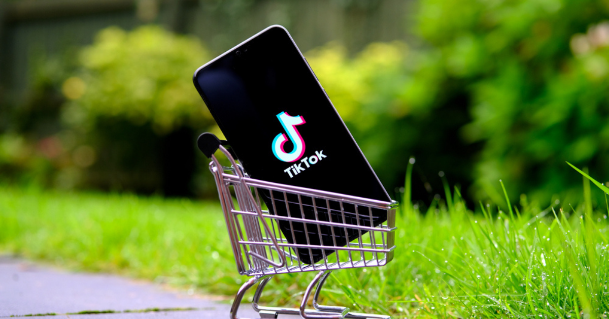 tiktok shop phishing site