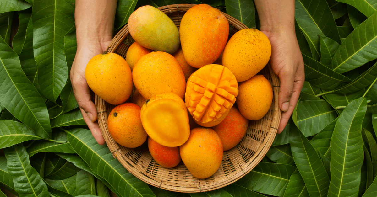 mango